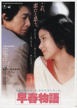 雾港回声 高清电影手机免费在线观看